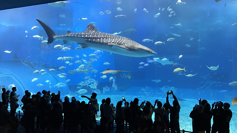 イベント・展示会の写真